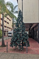 20241231 205109842 tahiti christmas tree v1