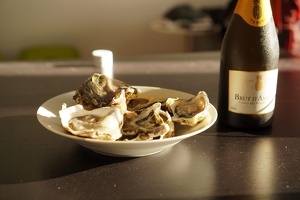 08796 food oysters v1