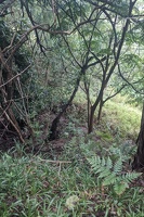 20250101 232813781 not a trail v1