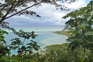 00939 forest and ocean v1