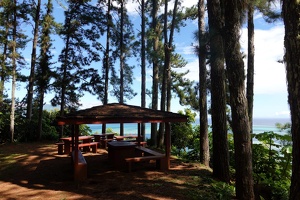 00959 picnic area v1
