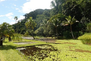 00970 vaipahi gardens v1