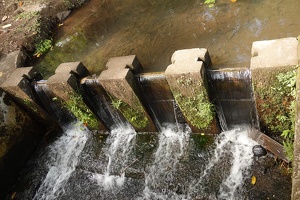 00971 dam v1