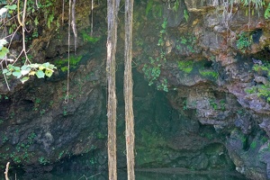 01001 grotte teanateatea v1