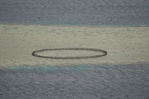 08872 fish farm