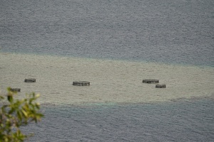 08874 more fish farms