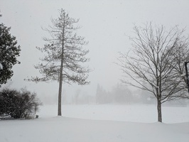 20250402 165116780 waterloo park