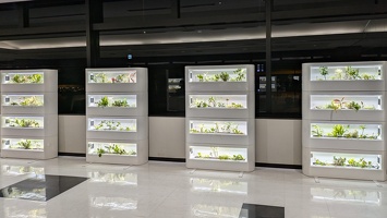 20250216 085058097 plants in boxes v1