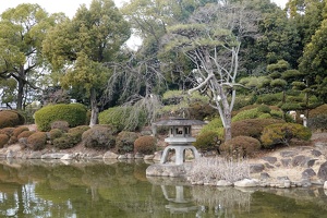 01099 pond and japanese garden v1