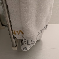 20250216 223906804 brilliant towel disambiguation v1