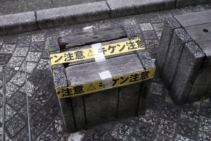 01141 danger from a box v1