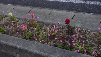 01144 flowerbox v1