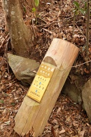 01185 stump with wayfinding v1