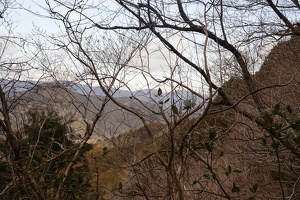 01193 winter branches and mountains behind