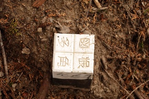 01196 white squares stump top v1