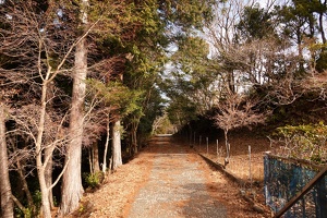 01240 path is straight v1