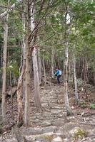 09234 mp ascending stairs v1