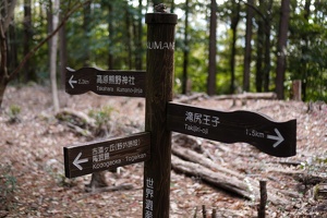 09239 signpost v1