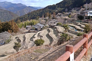 09269 terraces v1