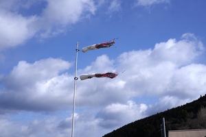 09271 blowing in the wind v1