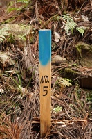 09305 number 5