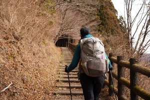 09316 walking towards tunnel in the trees v1