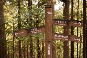 09319 directions v1