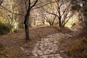 09332 pretty good path v1