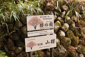 09337 chikatsuyu guest house have a break v1