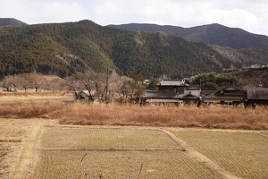 09339 fields v1