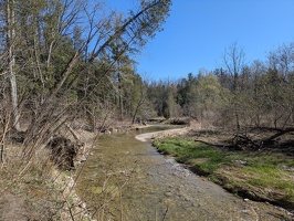 20250427 200127129 the creek