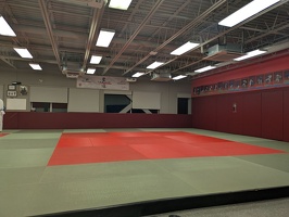 20250429 010506532 on the mat at torii
