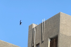02240 brace for landing black vulture v1