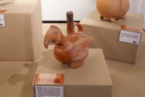 02252 la plaga de loros