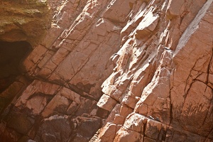 02040 big cliff smol terns v1