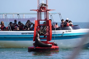 02181 servicio turistico v1