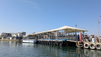 20250413 143449722 pier v1
