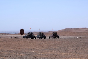 02282 buggies v1