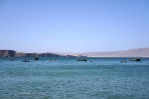 02314 more boats v1