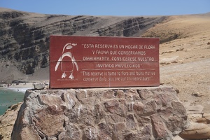 02319 un hogar de flora y fauna