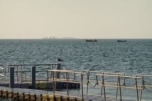 02365 pier with gull