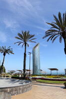 02454 palms and tower v1
