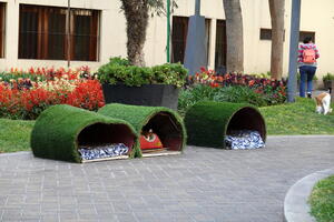 02470 cat houses v1