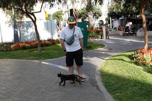 02484 erwan cat interaction v1