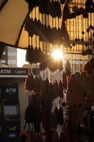 02529 sun through ropes etc v1