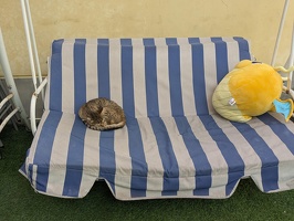 20250416 211727578 cat at bloque v1