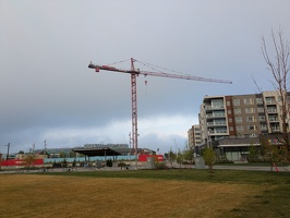 20250518 125701439 crane again