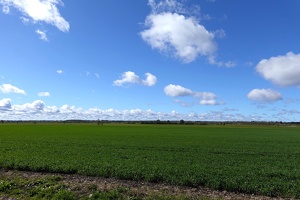 02728 fields v1