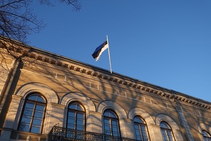 02801 estonian flag flying