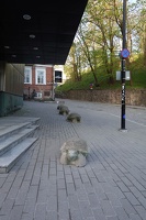 02878 turtles